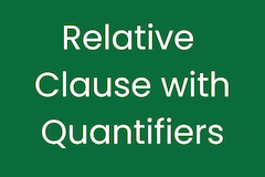 Relative Clause with Quantifiers